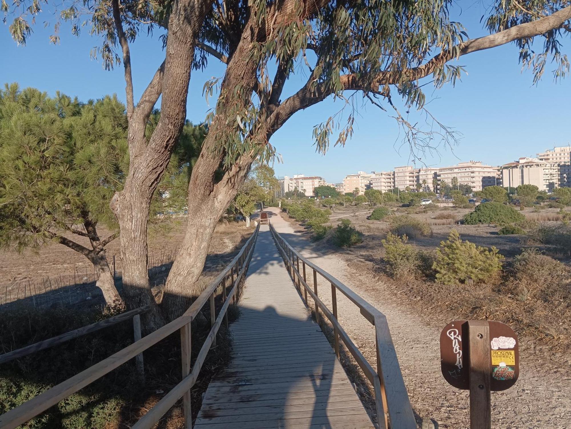 Bonito Apartamento 150 M De La Playa La Mata La Mata  Exteriör bild