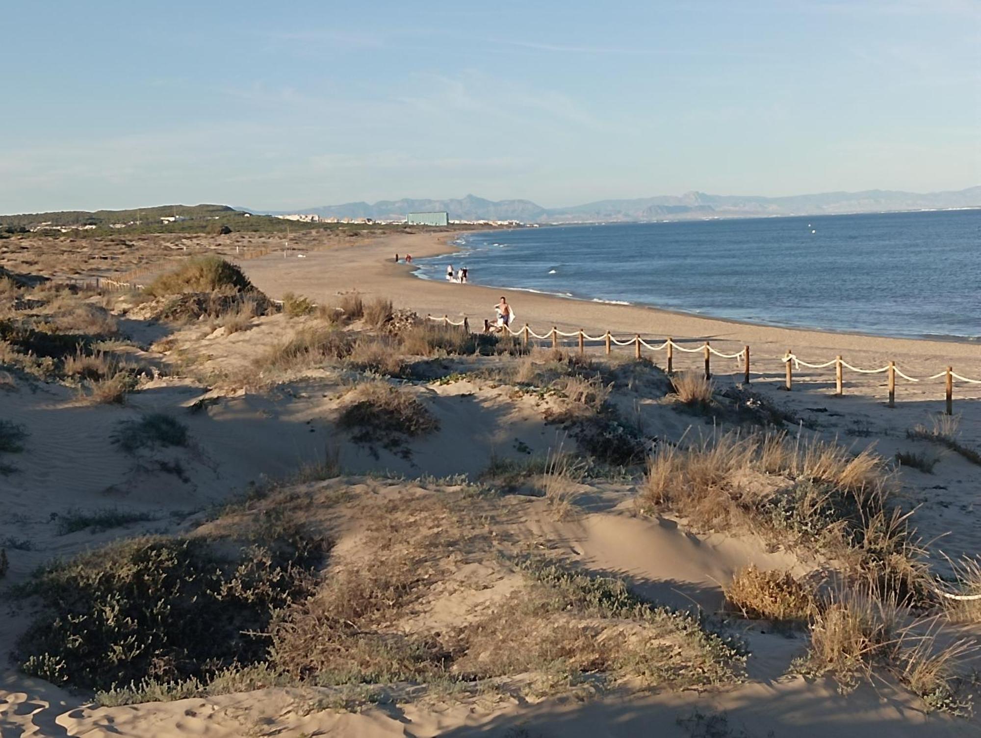Bonito Apartamento 150 M De La Playa La Mata La Mata  Exteriör bild