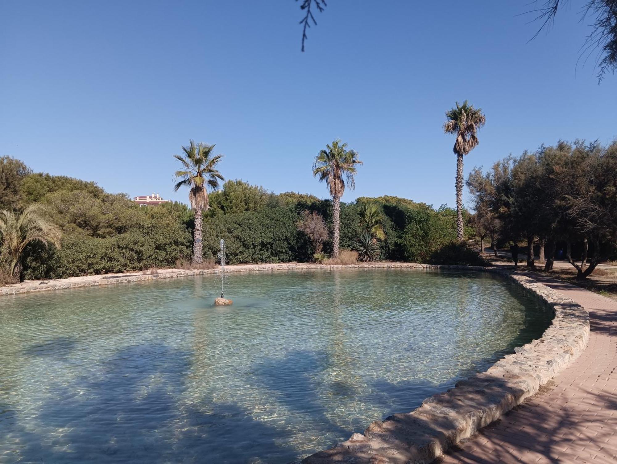 Bonito Apartamento 150 M De La Playa La Mata La Mata  Exteriör bild