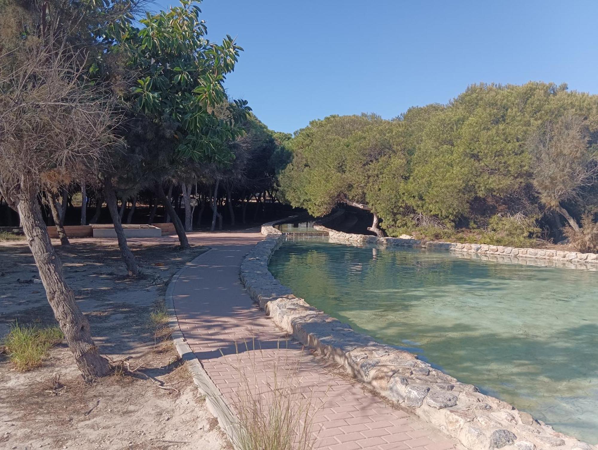 Bonito Apartamento 150 M De La Playa La Mata La Mata  Exteriör bild